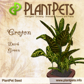 PlantPet Seed [Croton *Dark Green*] common Release Day 25.10.2010