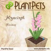 PlantPet Seed [Hyacinth *Fondant*] common Release Day 01.07.2011