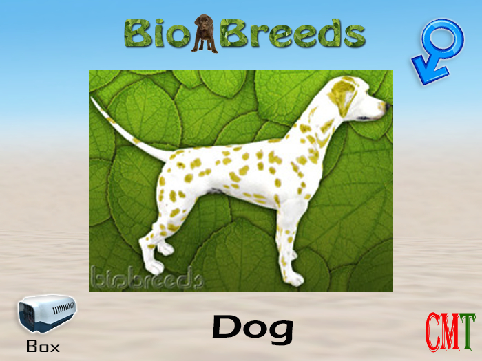 BioBreeds BB Dalmatian Box Lemon Male