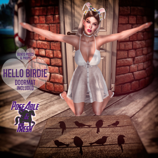 PoseAble & Mesh ~ Hello Birdie