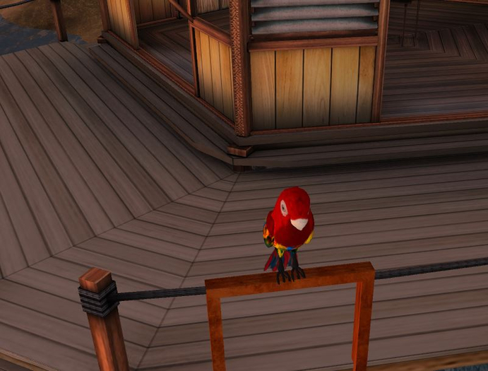 [WaS] Town Crier: Ruffles the Parrot