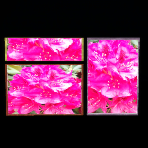ShasaArts_Pink Rhododendron