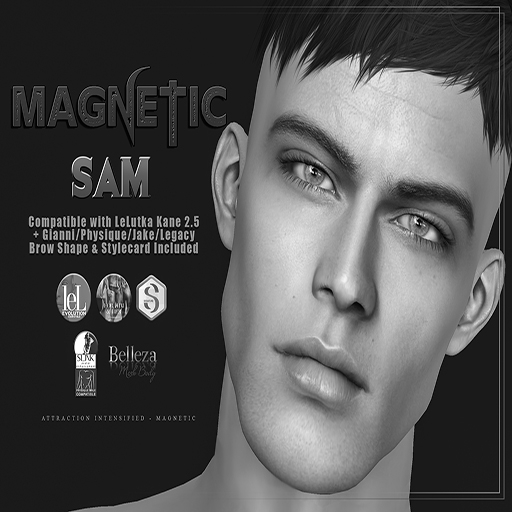 Magnetic - Sam Shape DEMO (ADD ME)