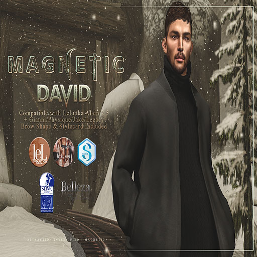 Magnetic - David Shape (ADD ME)
