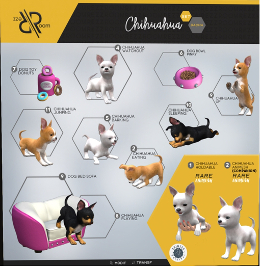 [Rezz Room] Pack Chihuahua  Playing