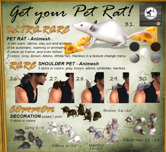 FaceDesk - White/Tan Rat - Pose 3