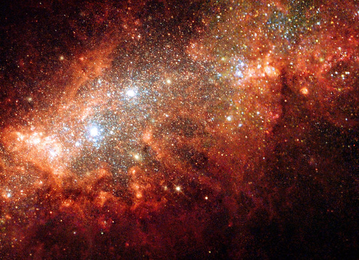 *NZ`s* Supernova