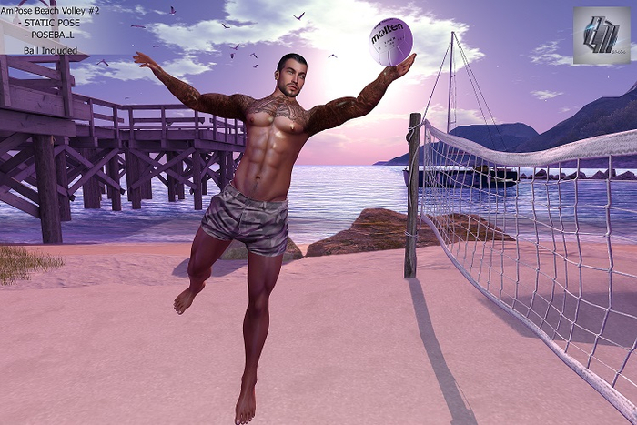 Am Pose BeachVolley #2