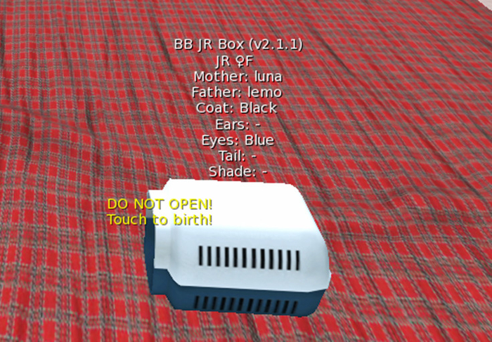 BB JR Box Female