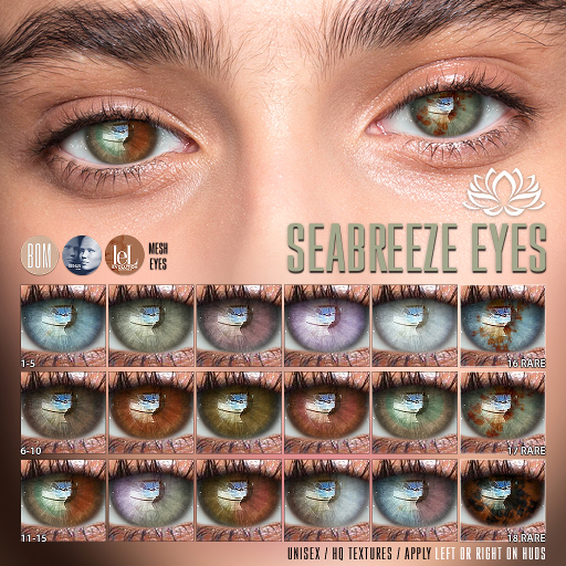 LOTUS. Seabreeze Eyes 08 BOX