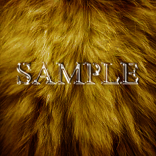 Zoy Texture [ Natural Fur ] Brown