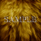 Zoy Texture [ Natural Fur ] Brown