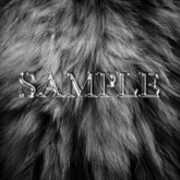 Zoy Texture [ Natural Fur ] Dark Gray