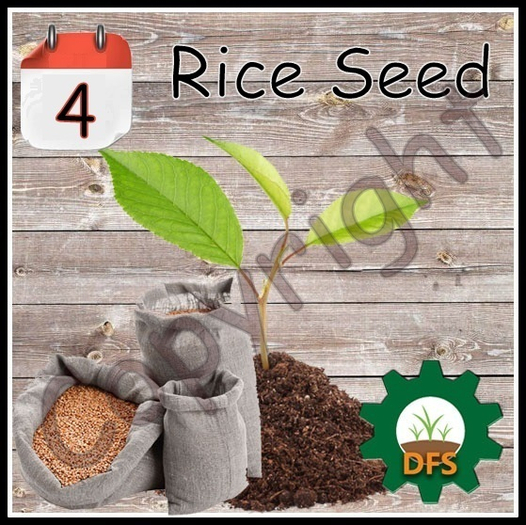 D*Run - DFS Farm (REZZ) - Rice Seed *only Texture*