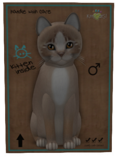 KittyCatS Box - Genesis - Mocha II 2+1t M - teacup