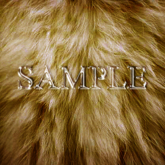 Zoy Texture [ Natural Fur 02 ] Mocha