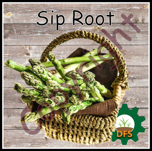D*Run - DFS Farm (REZZ) - Sip Root *only Texture*