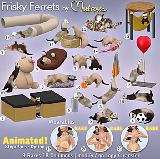 Mutresse - Frisky Ferrets - 16