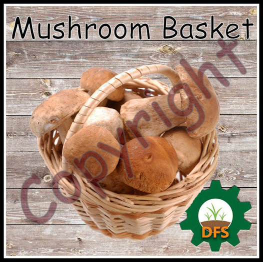 D*Run - DFS Farm (REZZ) - Mushroom Basket *only Texture*
