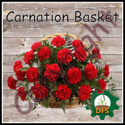 D*Run - DFS Farm (REZZ) - Carnation Basket *only Texture*
