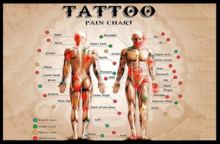 Wall Decor - Tattoo Pain Chart