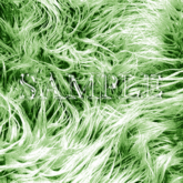 Zoy Texture [ Designers Fur ] Forest