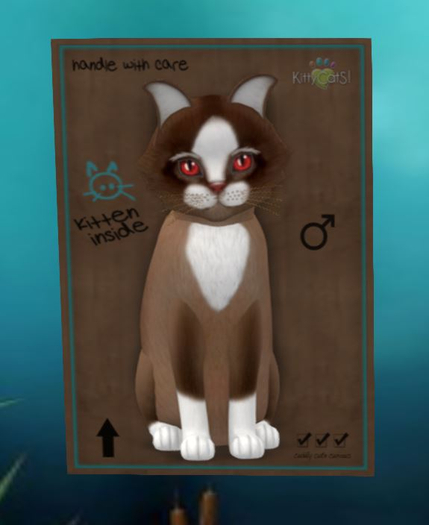 Chateau Cat - Toffee Caramel - Passion