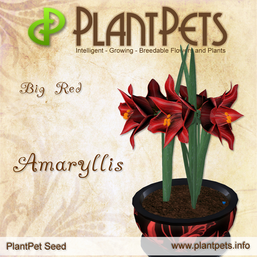 PlantPet Seed [Amaryllis *Big Red*] common Release Day 20.12.2008