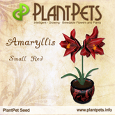 PlantPet Seed [Amaryllis *Small Red*]  rare Release Day 20.12.2008