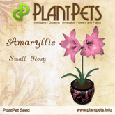 PlantPet Seed [Amaryllis *Small Rosy*]