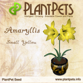 PlantPet Seed [Amaryllis *Small Yellow*]  rare Release Day 20.12.2008