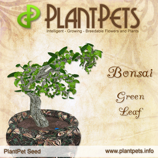 PlantPet Seed [Bonsai *Green Leaf*]