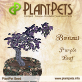 PlantPet Seed [Bonsai *Purple Leaf*] common Release Year 2008
