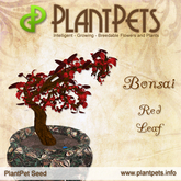 PlantPet Seed [Bonsai *Red Leaf*] common Release Year 2008