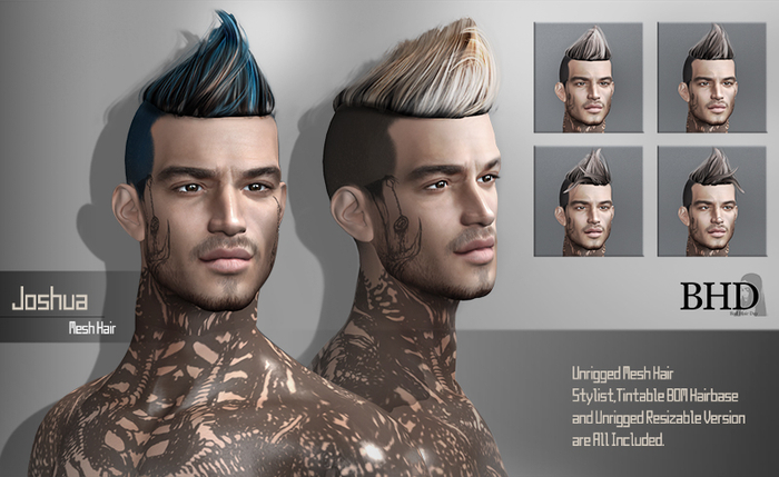 [BAD HAIR DAY] - Joshua - AUBURN