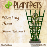 PlantPet Seed [Climbing Rose *Faerie Charmed*]