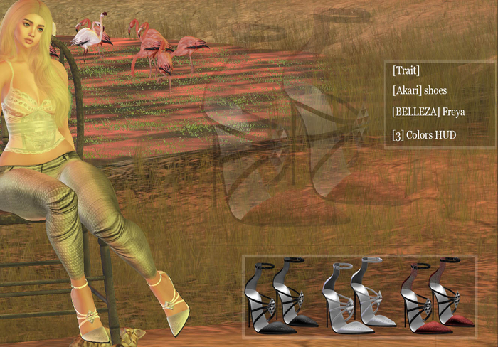 [Trait] Akari shoes_Belleza