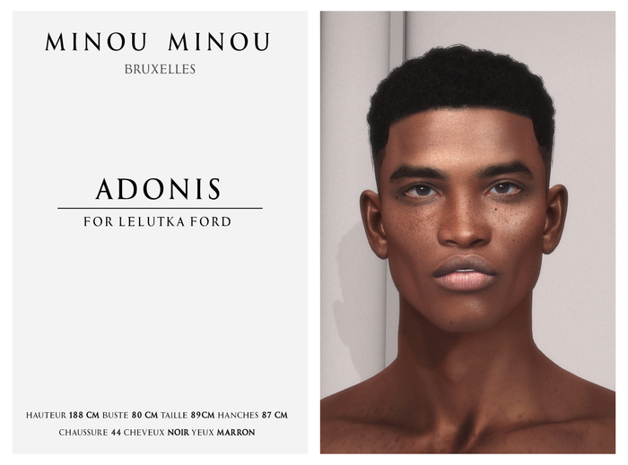 .minou minou. Adonis shape for Lelu EvoX Ford