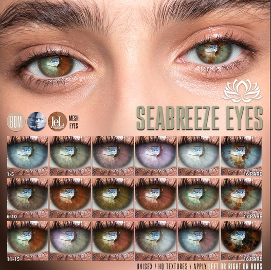 LOTUS. Seabreeze Eyes 16 RARE
