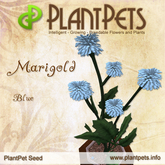 PlantPet Seed [Marigold *Blue*]