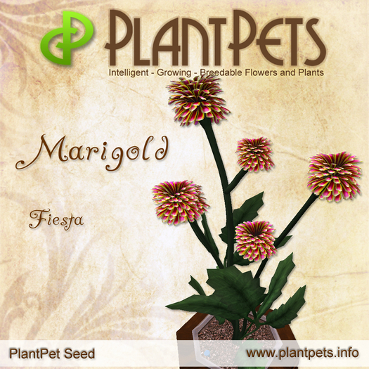 PlantPet Seed [Marigold *Fiesta*]