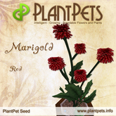 PlantPet Seed [Marigold *Red*] common Release Day 16.09.2011