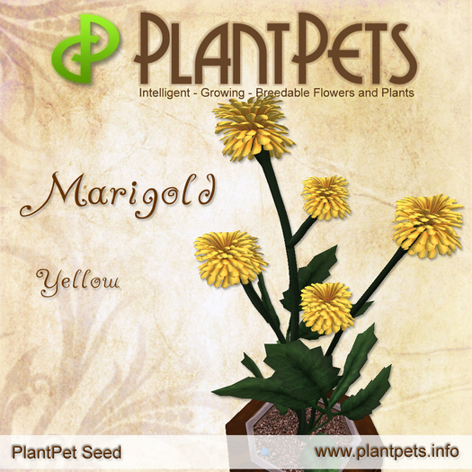 PlantPet Seed [Marigold *Yellow*]