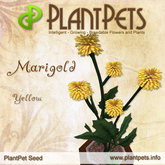 PlantPet Seed [Marigold *Yellow*] common Release Day 16.09.2011