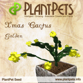 PlantPet Seed [Xmas Cactus *Golden*]