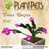 PlantPet Seed [Xmas Cactus *Pink*] common Release Year 2010