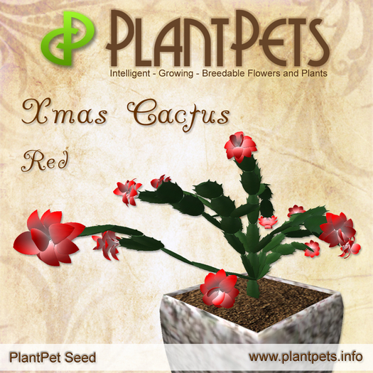 PlantPet Seed [Xmas Cactus *Red*] common Release Year 2010