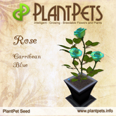 PlantPet Seed [Rose *Carribean Blue*] common Release Year 2012