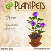 PlantPet Seed [Rose *Enchanted Evening*]