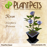 PlantPet Seed [Rose *Northern Princess*] common Release Year 2012
